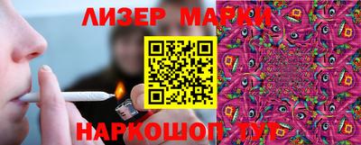 дмт Донской