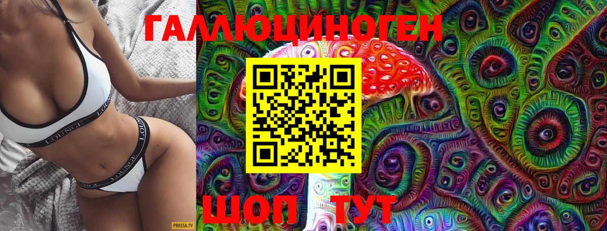 Нерюнгри  Псилоцибиновые грибы Magic Shrooms  Вход с VPN 