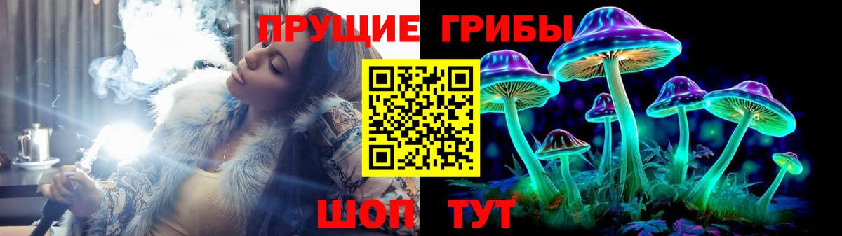 Псилоцибиновые грибы Psilocybine cubensis Нерюнгри